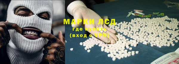 ГАЛЛЮЦИНОГЕННЫЕ ГРИБЫ Арсеньев