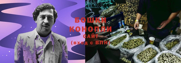 ГАЛЛЮЦИНОГЕННЫЕ ГРИБЫ Арсеньев
